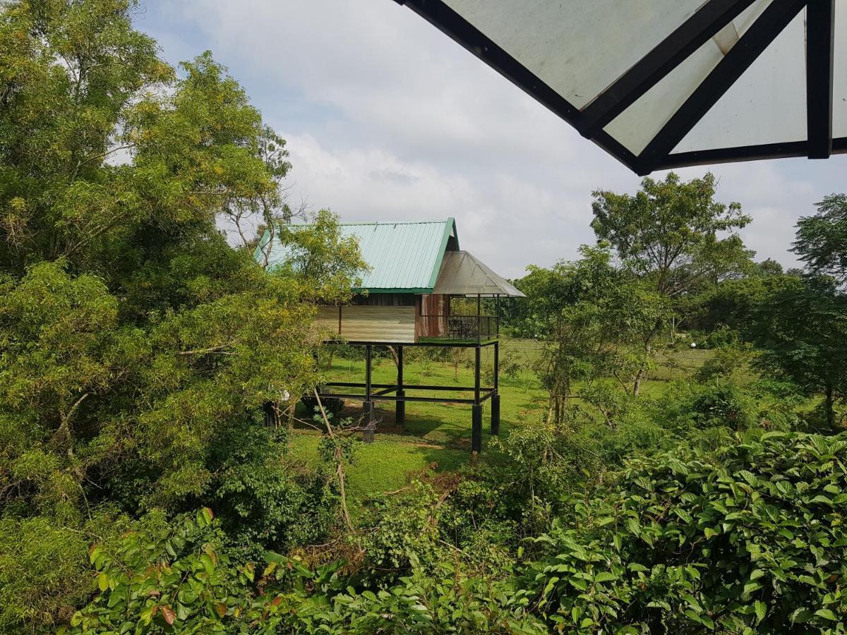 Nice Place Resort Dambulla Ngoại thất bức ảnh