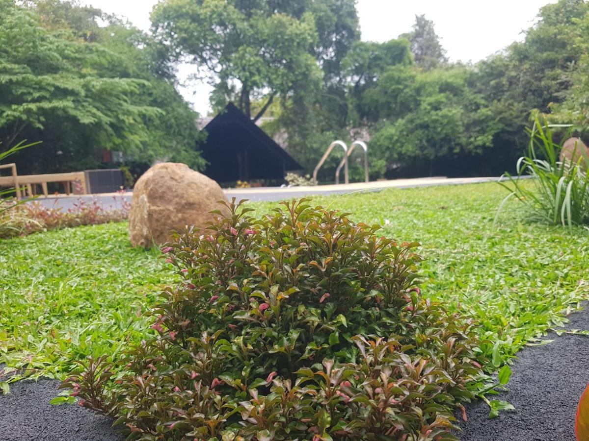 Nice Place Resort Dambulla Ngoại thất bức ảnh