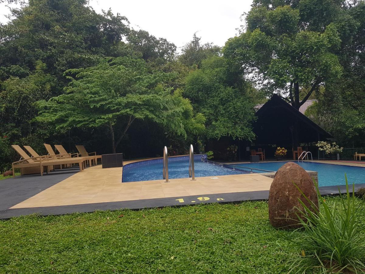 Nice Place Resort Dambulla Ngoại thất bức ảnh
