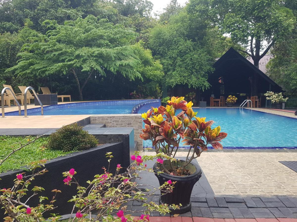 Nice Place Resort Dambulla Ngoại thất bức ảnh