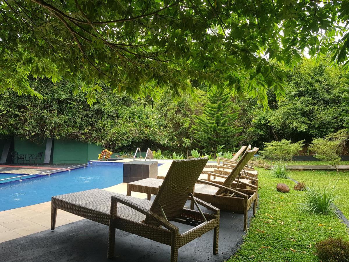 Nice Place Resort Dambulla Ngoại thất bức ảnh