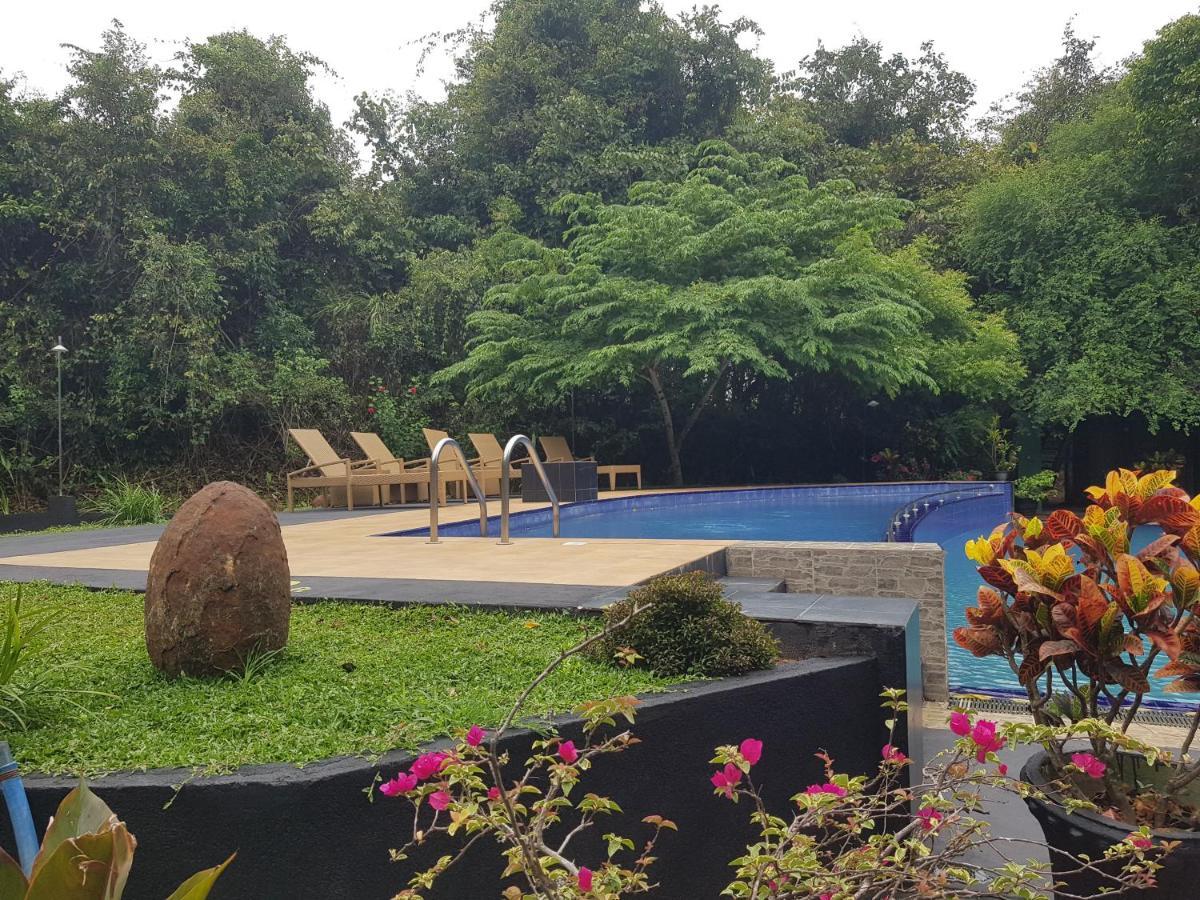 Nice Place Resort Dambulla Ngoại thất bức ảnh