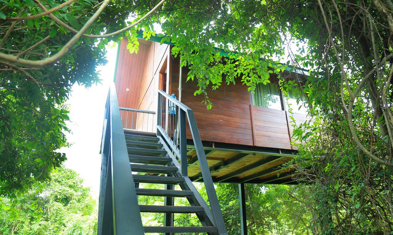 Nice Place Resort Dambulla Ngoại thất bức ảnh