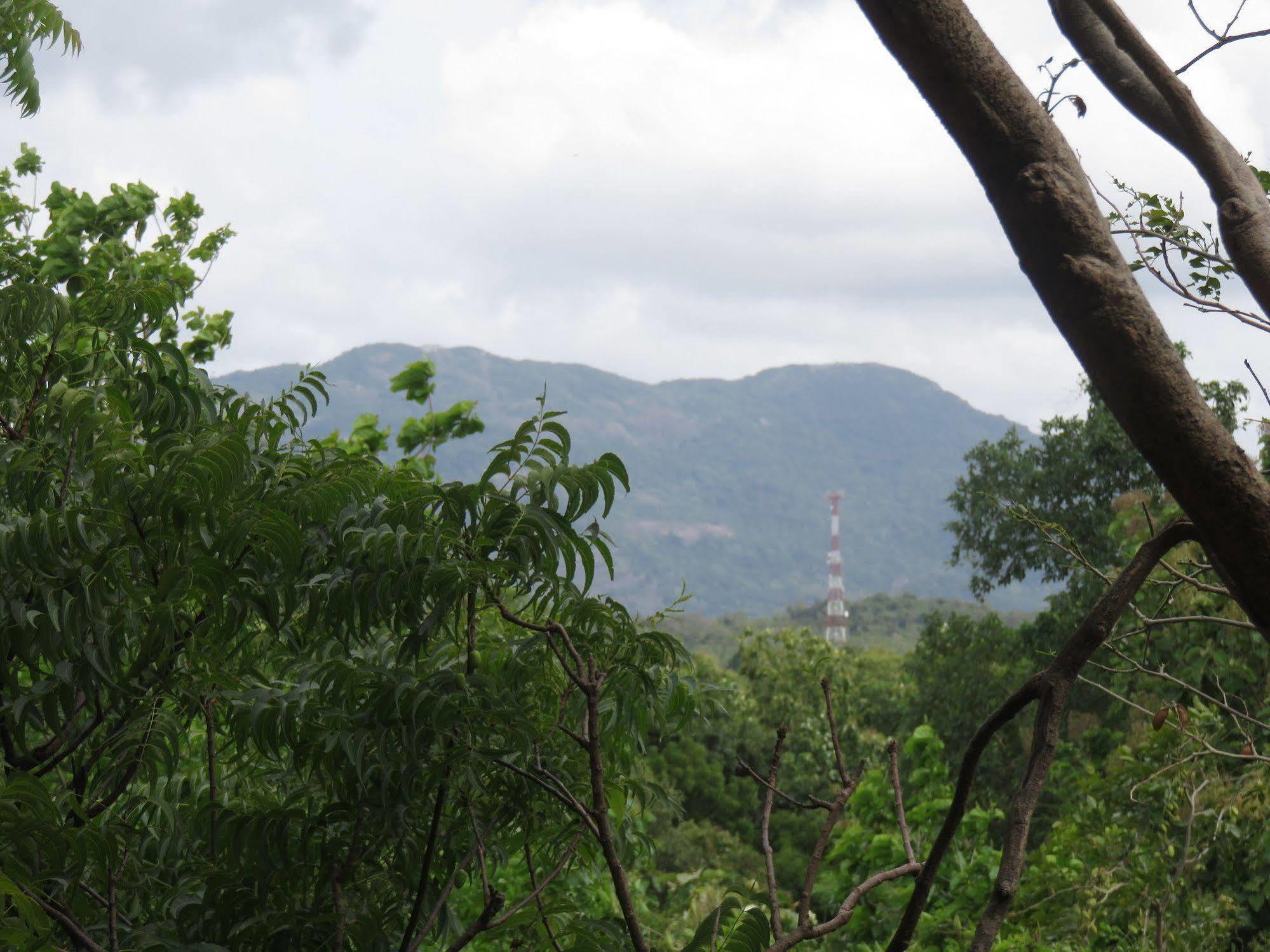 Nice Place Resort Dambulla Ngoại thất bức ảnh